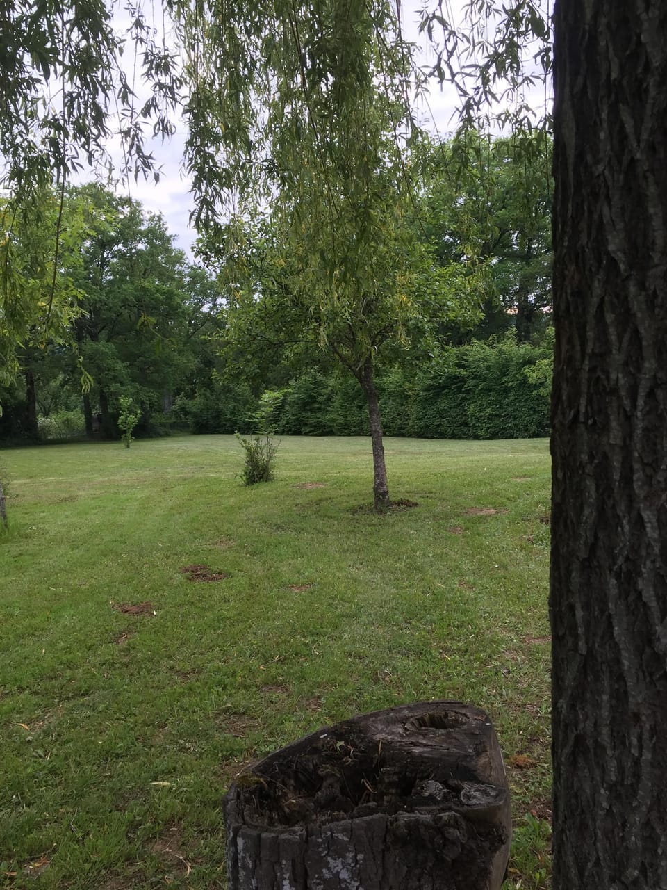 Property grounds