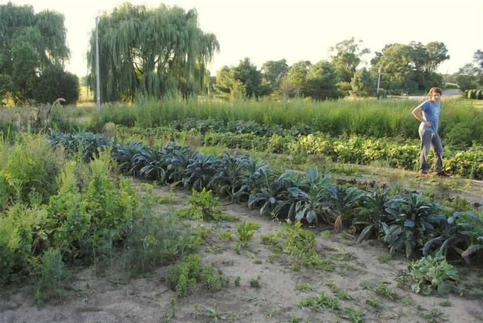 Guest are welcome to pick fresh produce from our organic garden