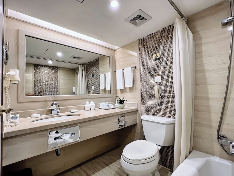 Shower, free toiletries, hair dryer, slippers