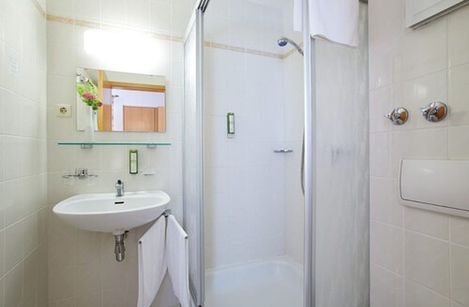 Shower, free toiletries, hair dryer, bathrobes