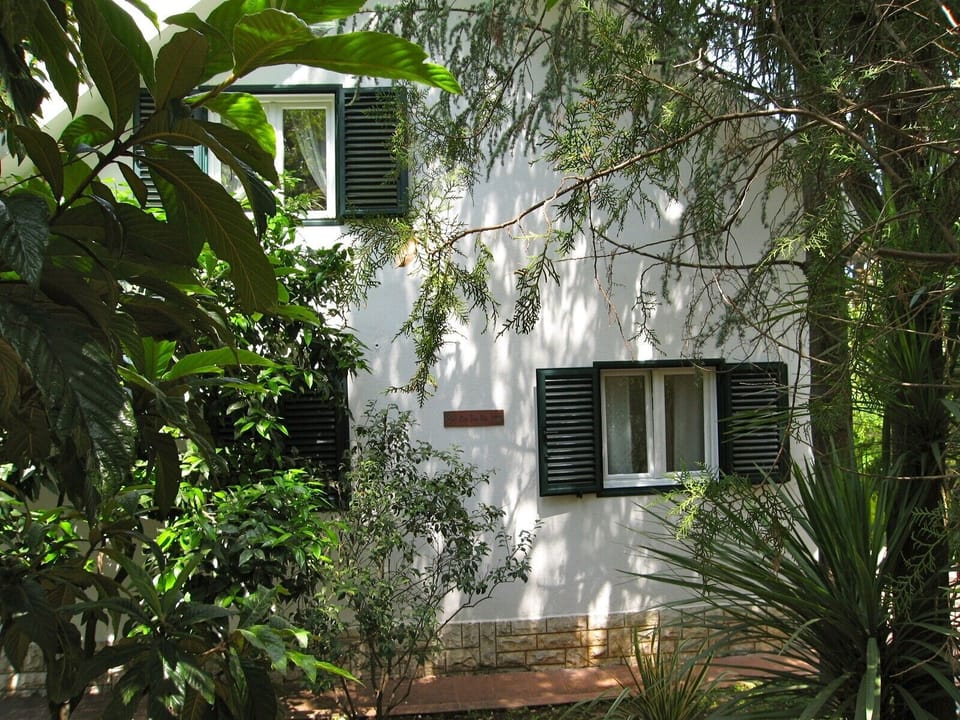 Pine Tree Villa