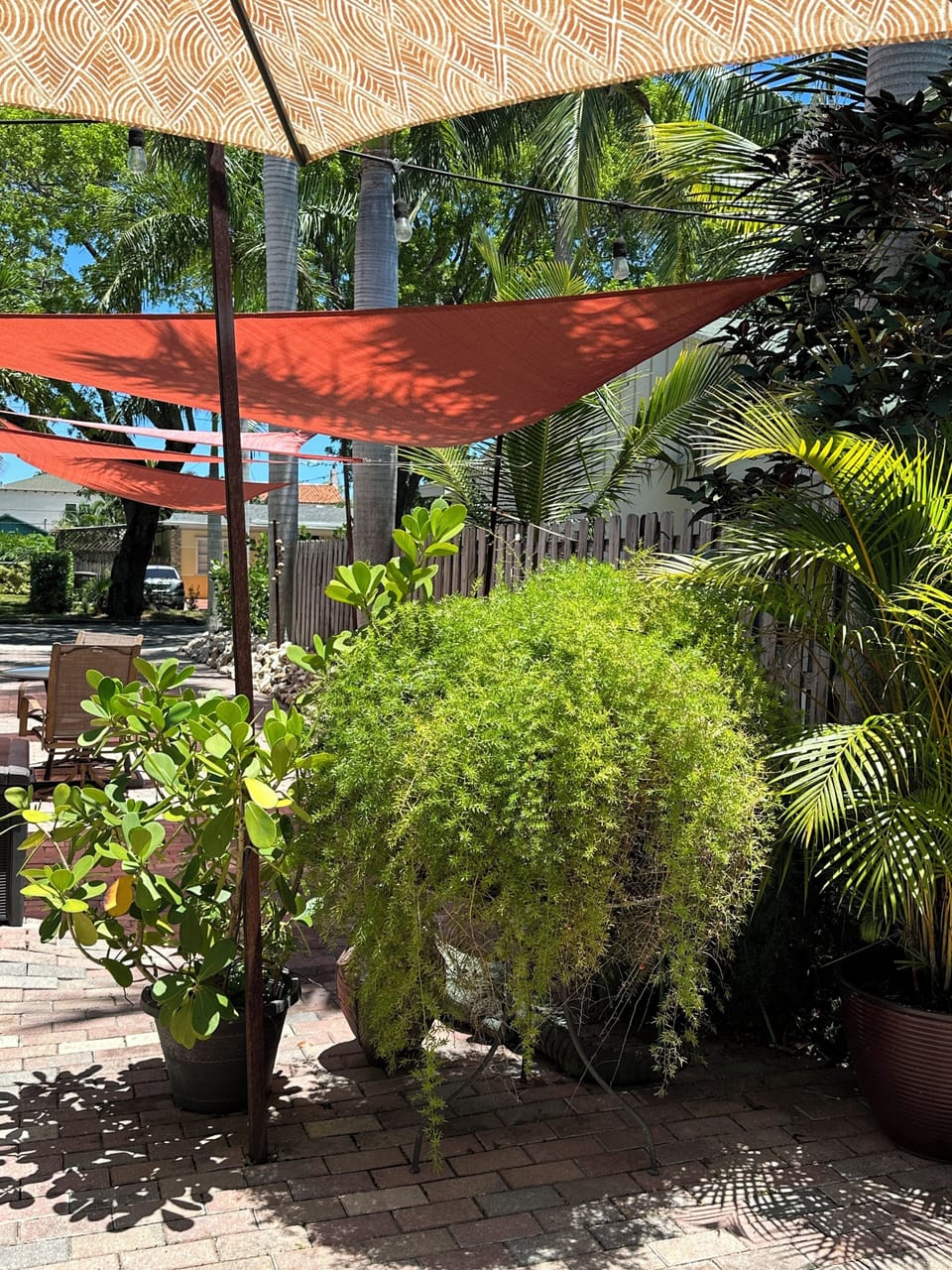 Looking out from the patio table towards the street.