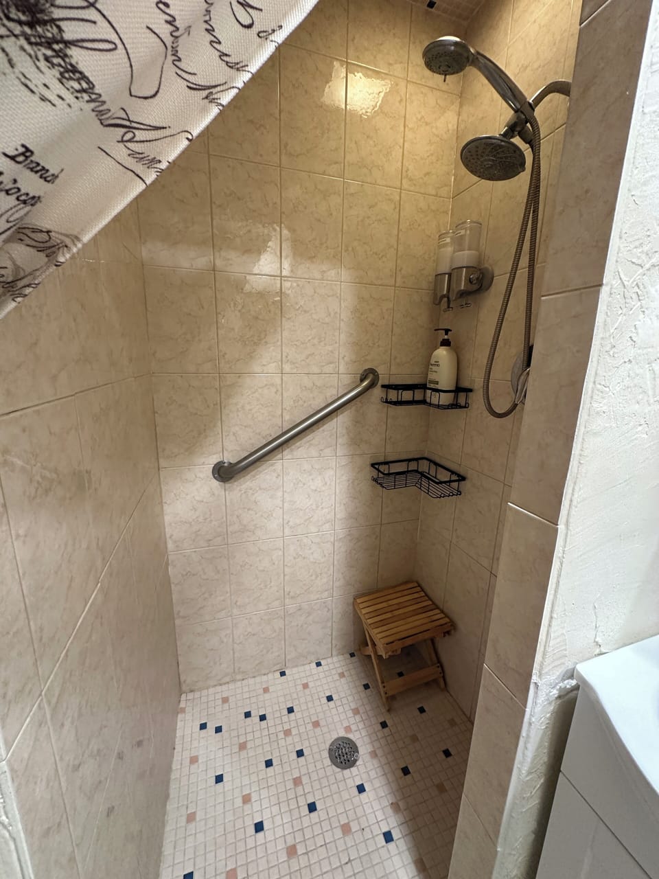 The shower with shampoo and cream rinse, a small bench, and safety handle.