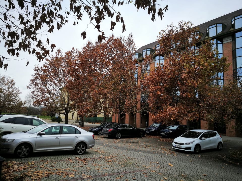 Self parking