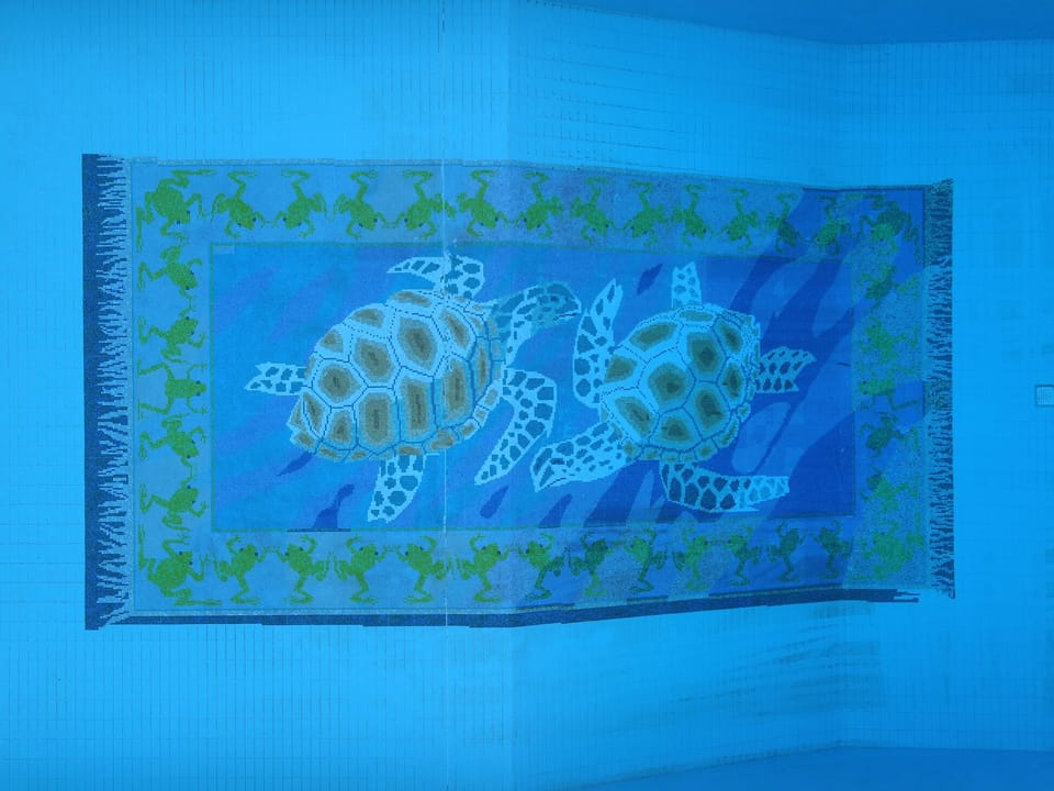 Pool mosaic.