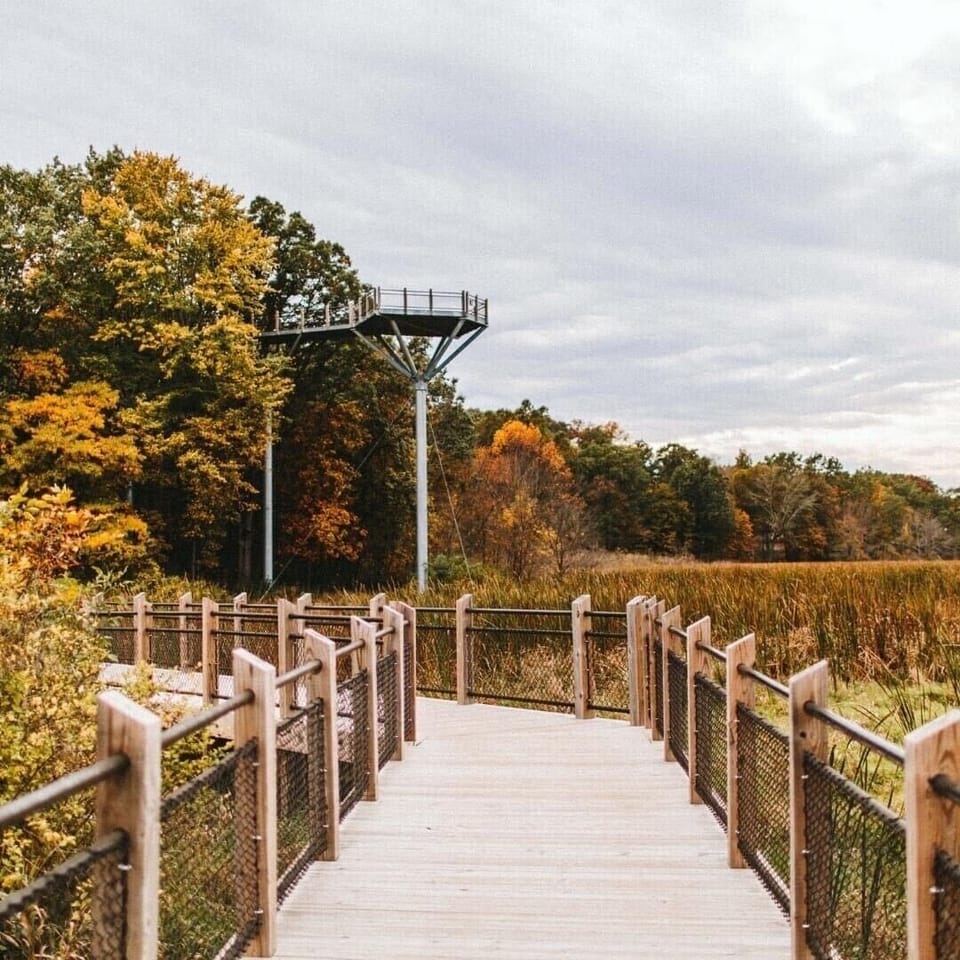 Galien River 60ft Lookout Tower
