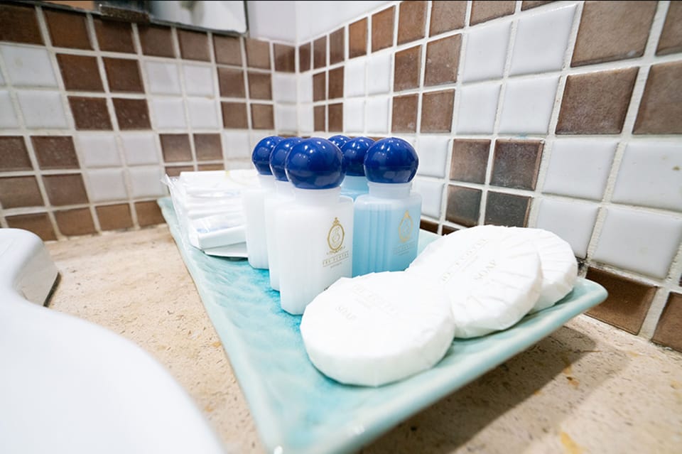 Shower, free toiletries, hair dryer, slippers
