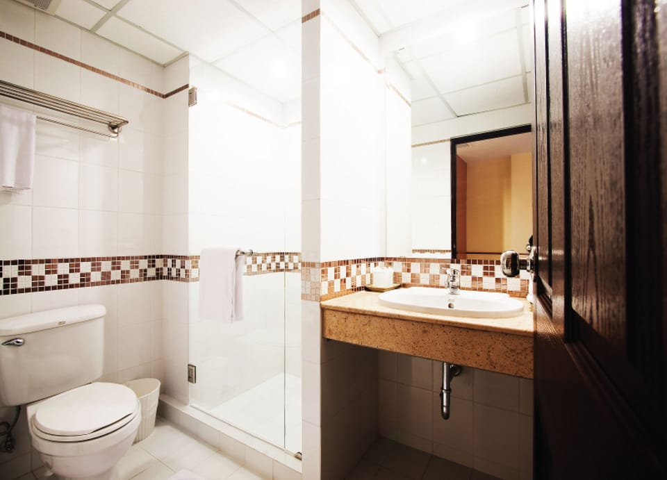 Shower, free toiletries, hair dryer, slippers