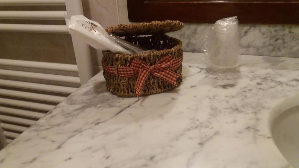 Shower, free toiletries, hair dryer, bidet