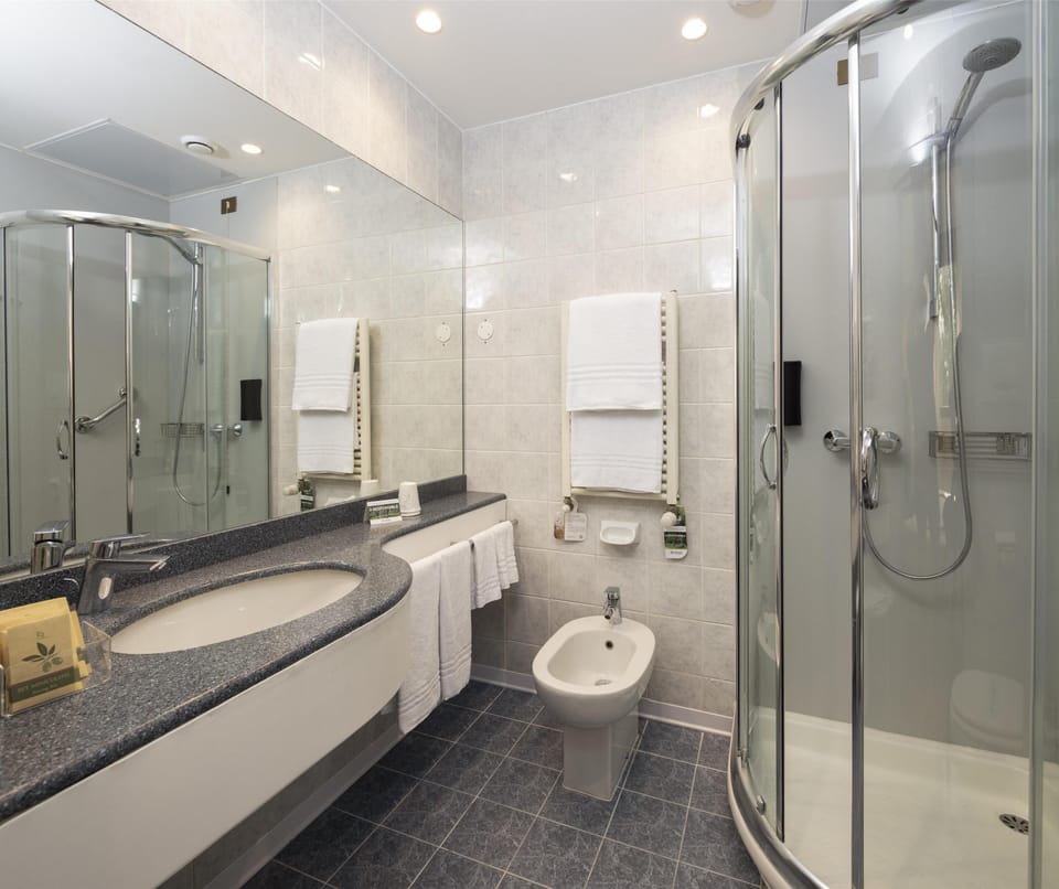 Shower, free toiletries, hair dryer, bidet