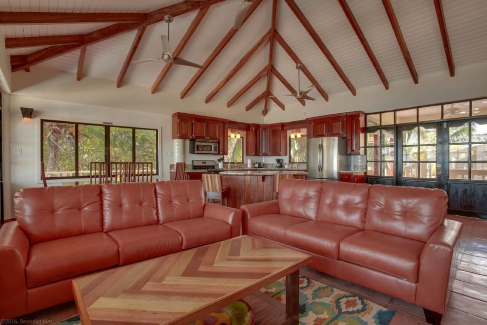 Luxury House, Multiple Bedrooms, Private Bathroom, Oceanfront | Living area | Flat-screen TV, DVD player