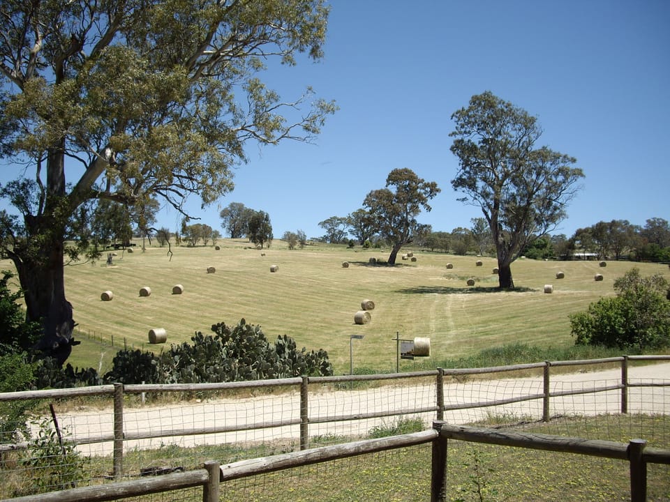 View from property