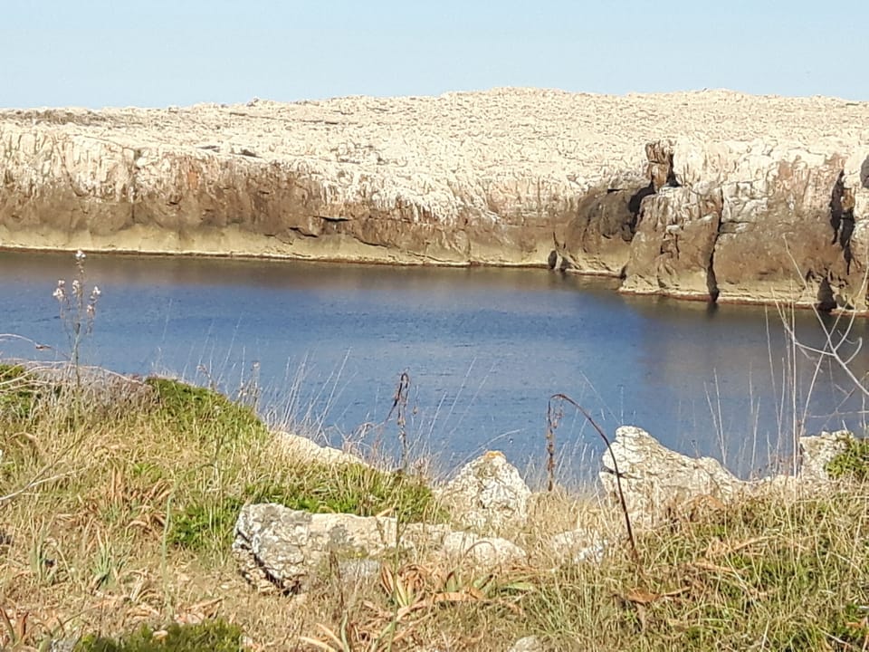 View of the Cala in front of the house
