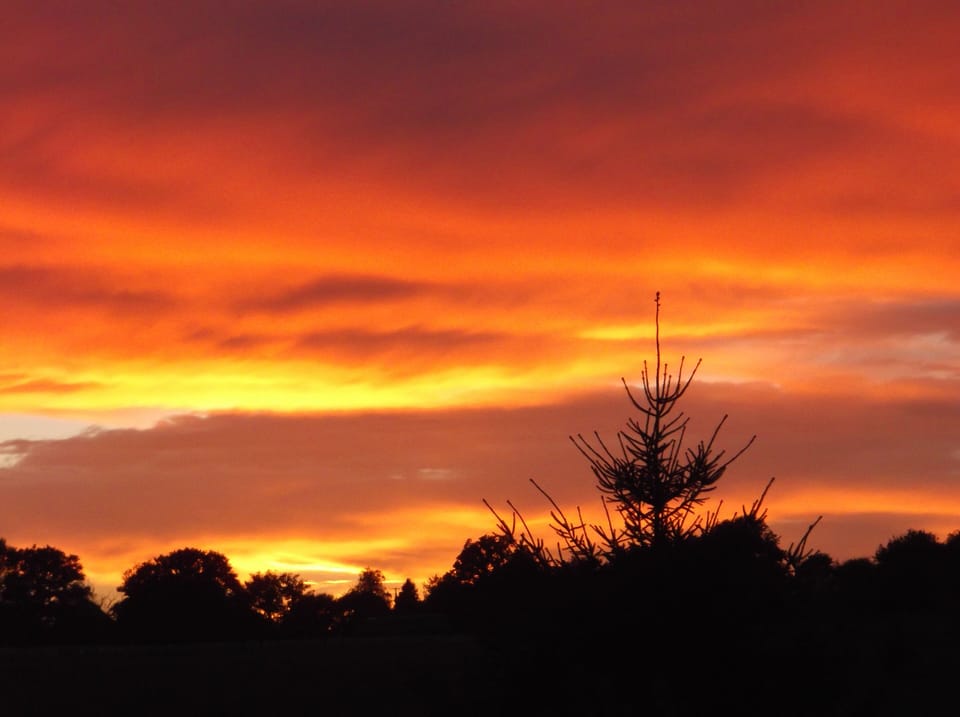 Amazing summer sunset from the garden