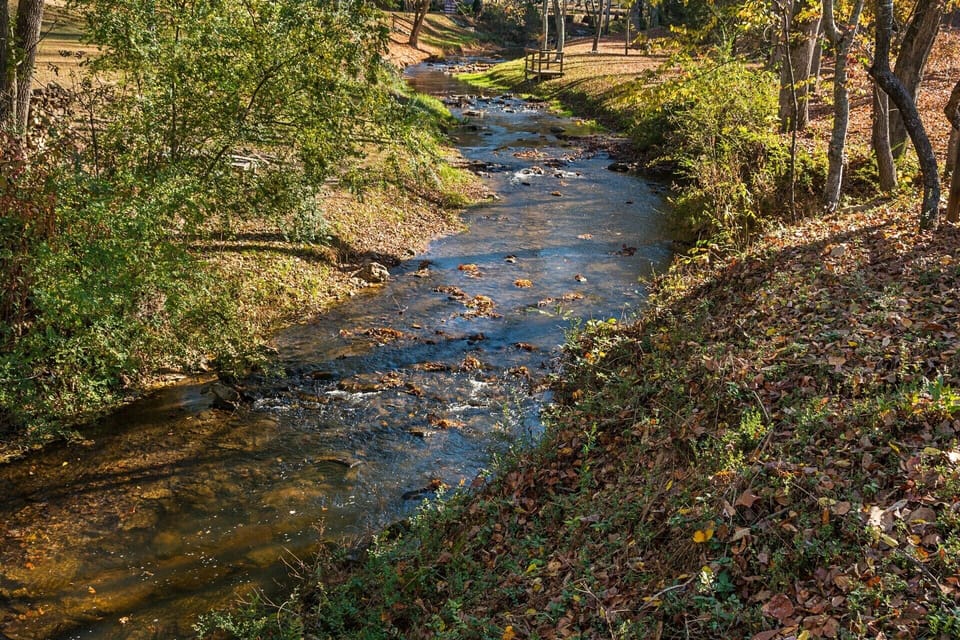 Hemptown Creek, a rocky, noisy, stocked trout creek is right in your backyard!