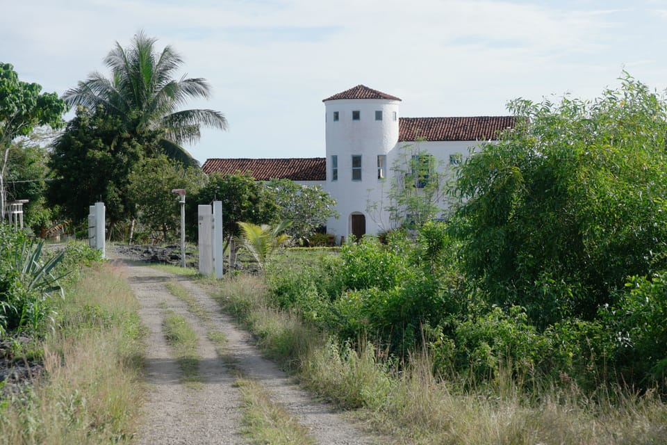 The approach on our private road to the Villa.
