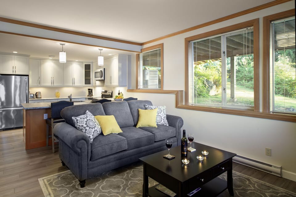 Cozy living room with pull out sofa