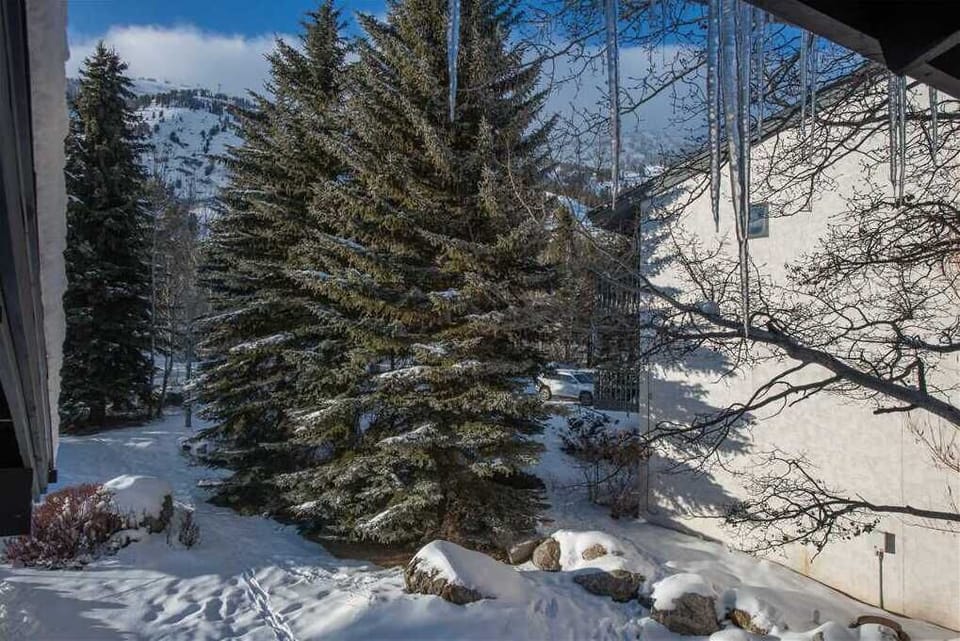 View from Unit