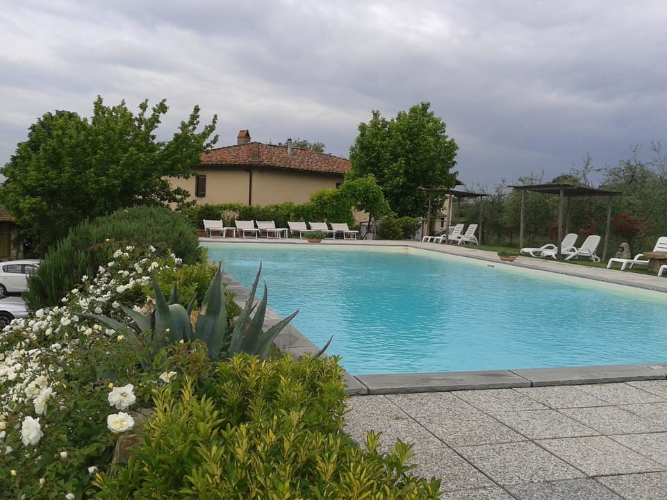 Outdoor pool, open 7:00 AM to 8:00 PM, pool umbrellas, sun loungers