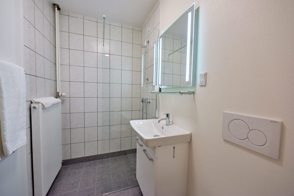Shower, free toiletries, hair dryer, towels