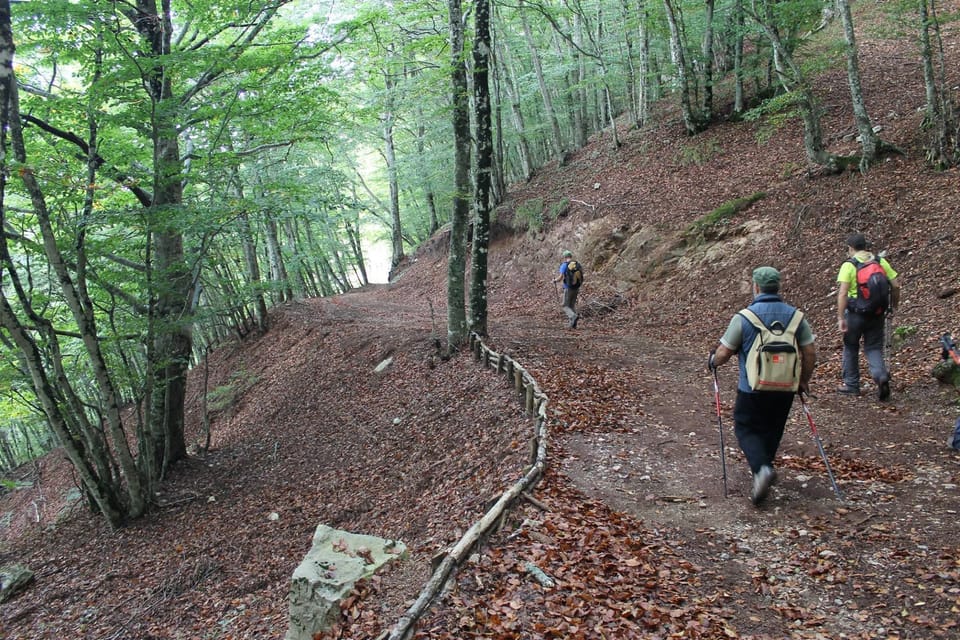 Hiking