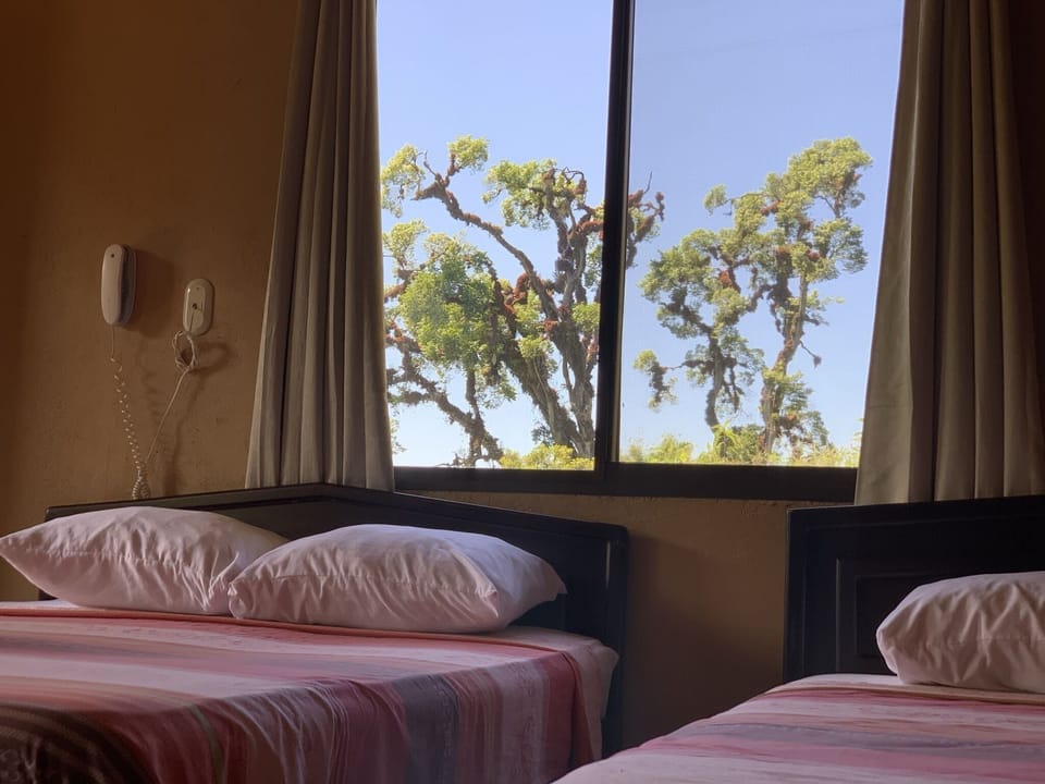 Free WiFi, bed sheets, wheelchair access