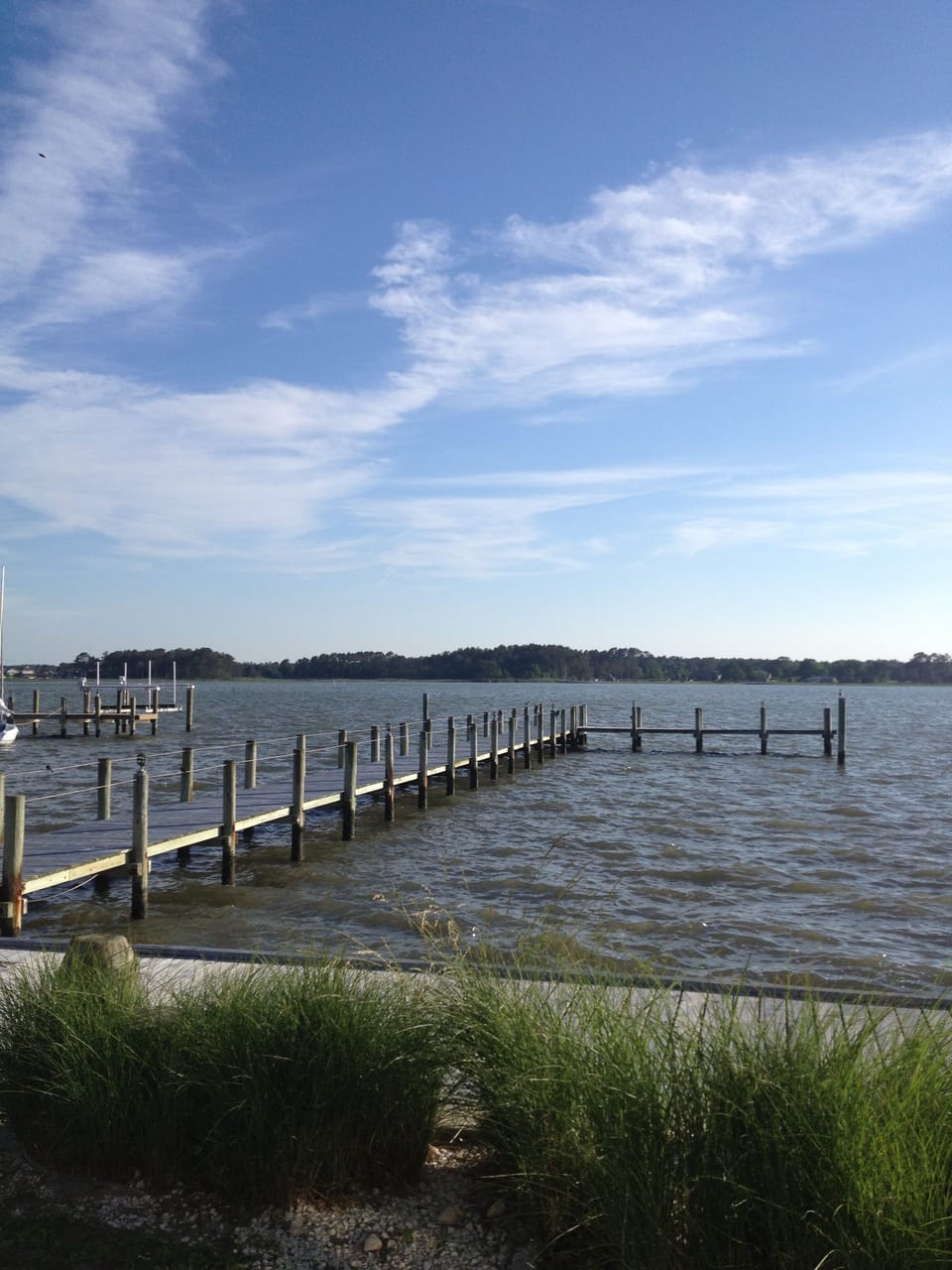 view from the back yard