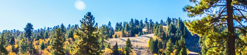 Access hiking trails a short 5 minute walk from the cabin!  No need to drive!