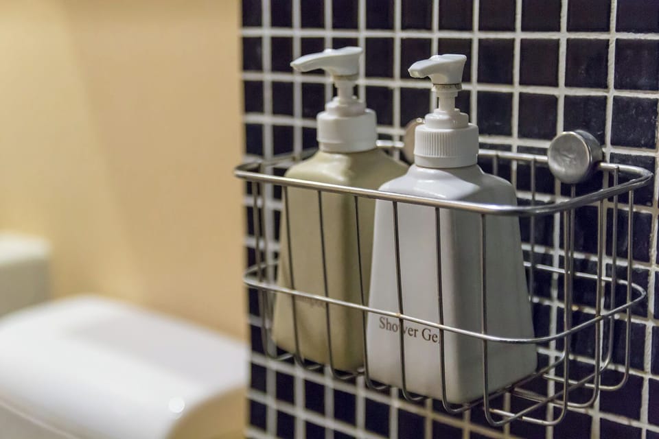 Gargen View King | Bathroom | Shower, free toiletries, hair dryer, towels