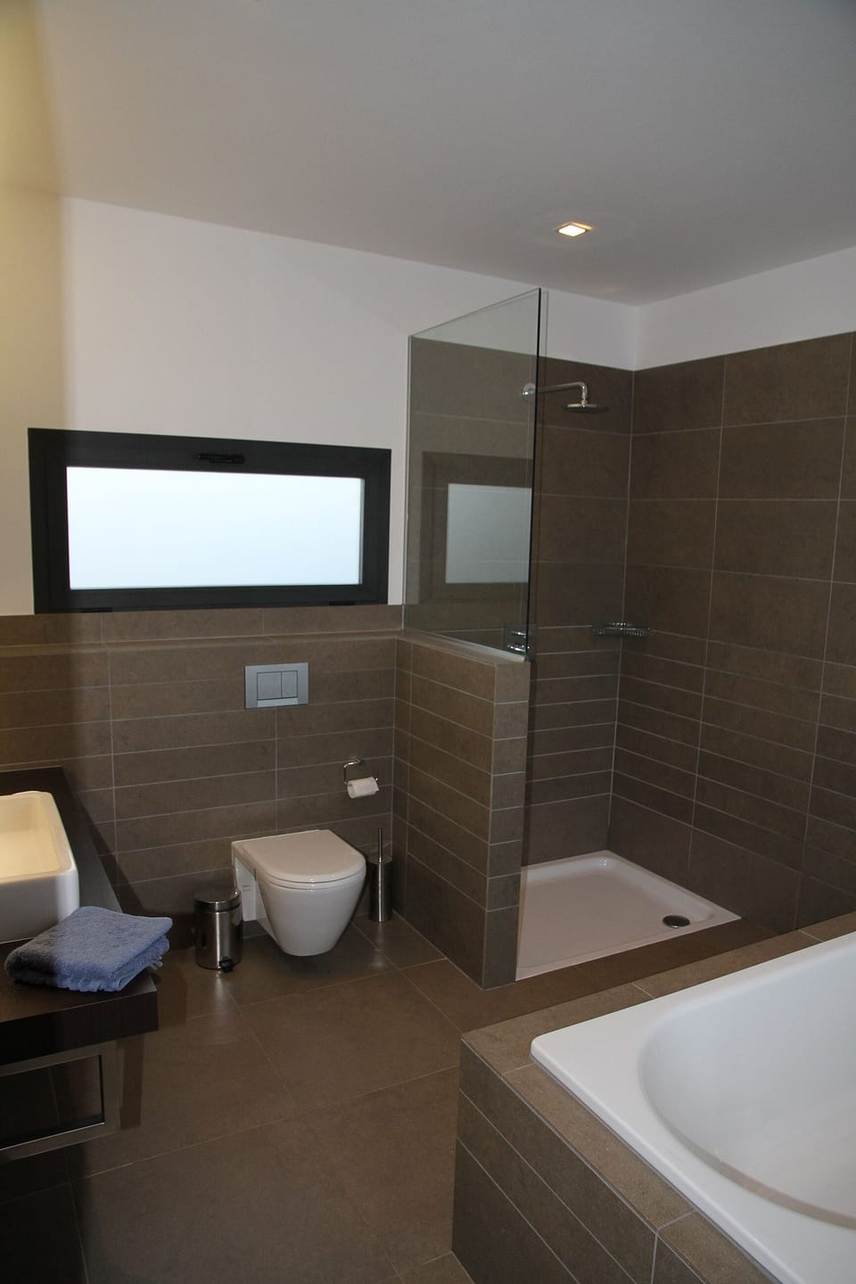 Bathroom shower room