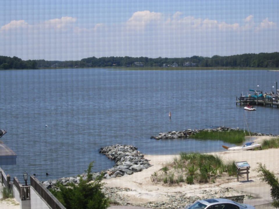 VIEW OF MONIGLE PARK NEXT DOOR THROUGH PORCH SCREEN