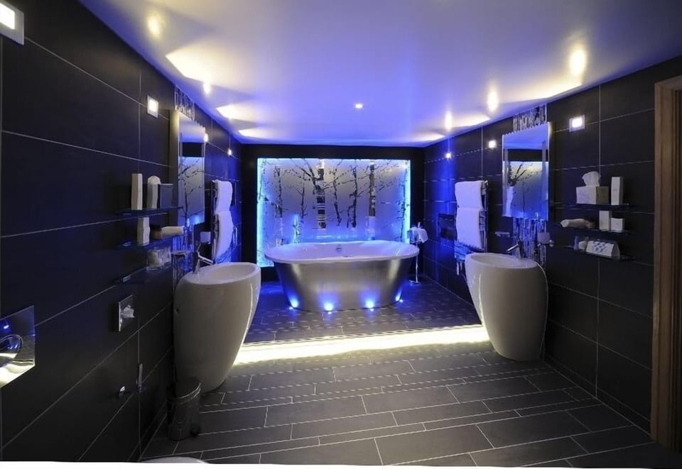 Luxury Studio Suite | Bathroom | Shower, eco-friendly toiletries, hair dryer, bathrobes