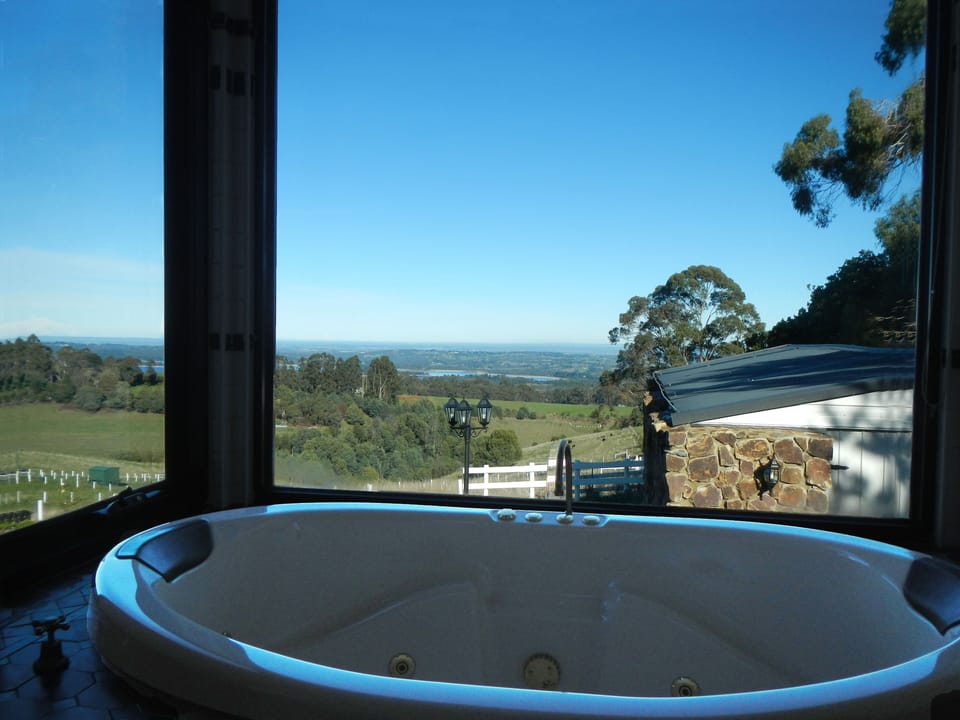 View from Spa down Mornignton Peninsular