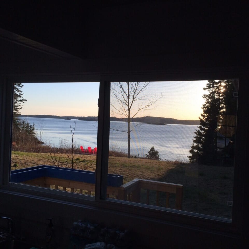 Another view from the kitchen window
