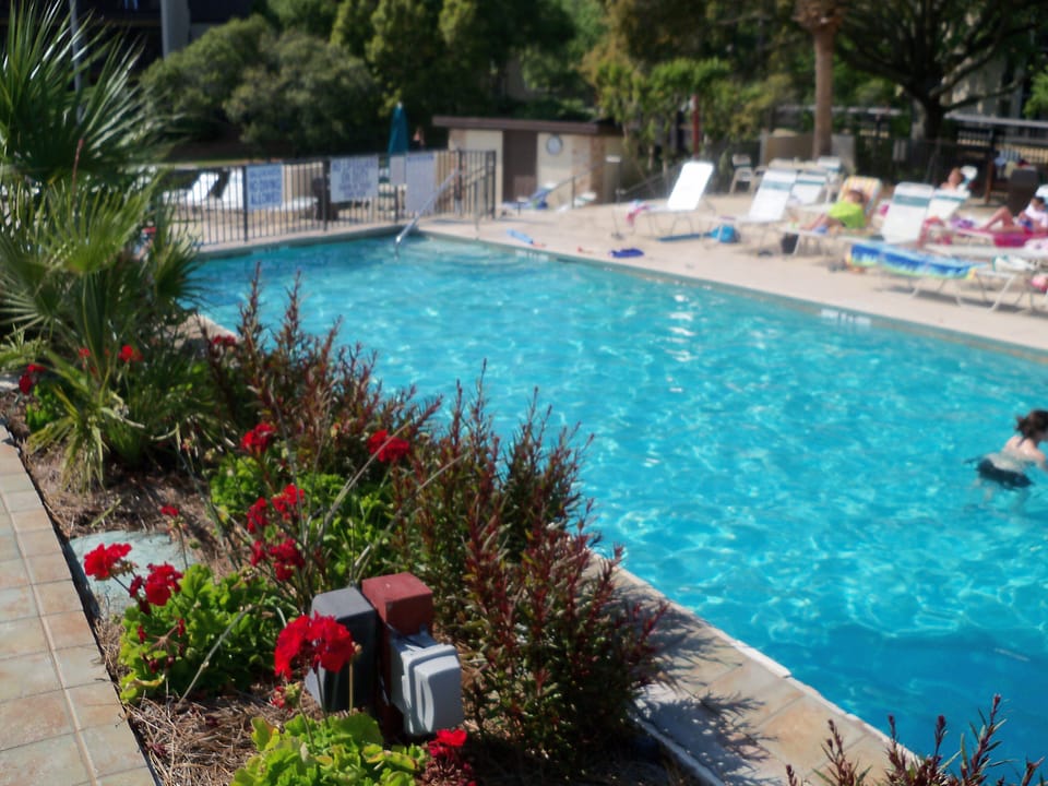 Another View Of The Main Pool.