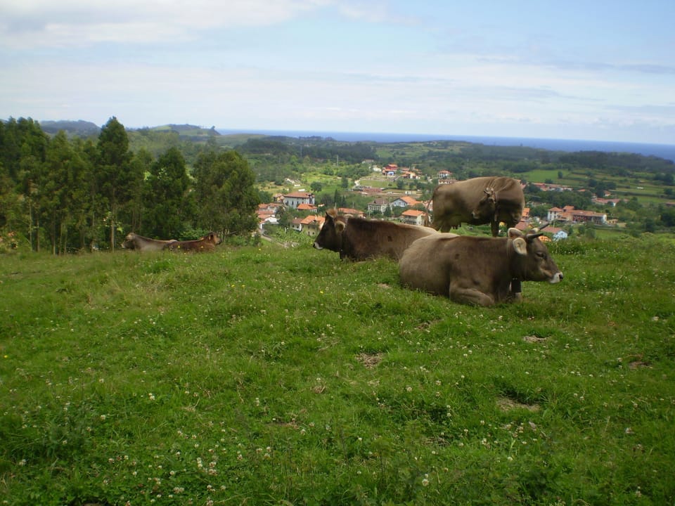 Casa de Aldea Ruiloba Country House in Asturias