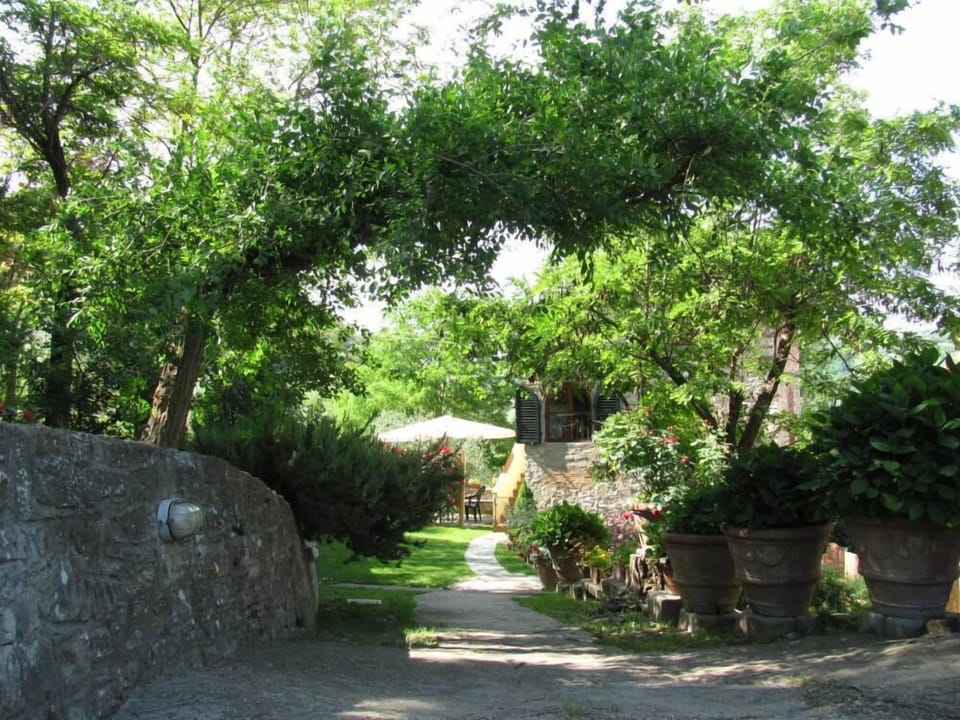 Garden, Park