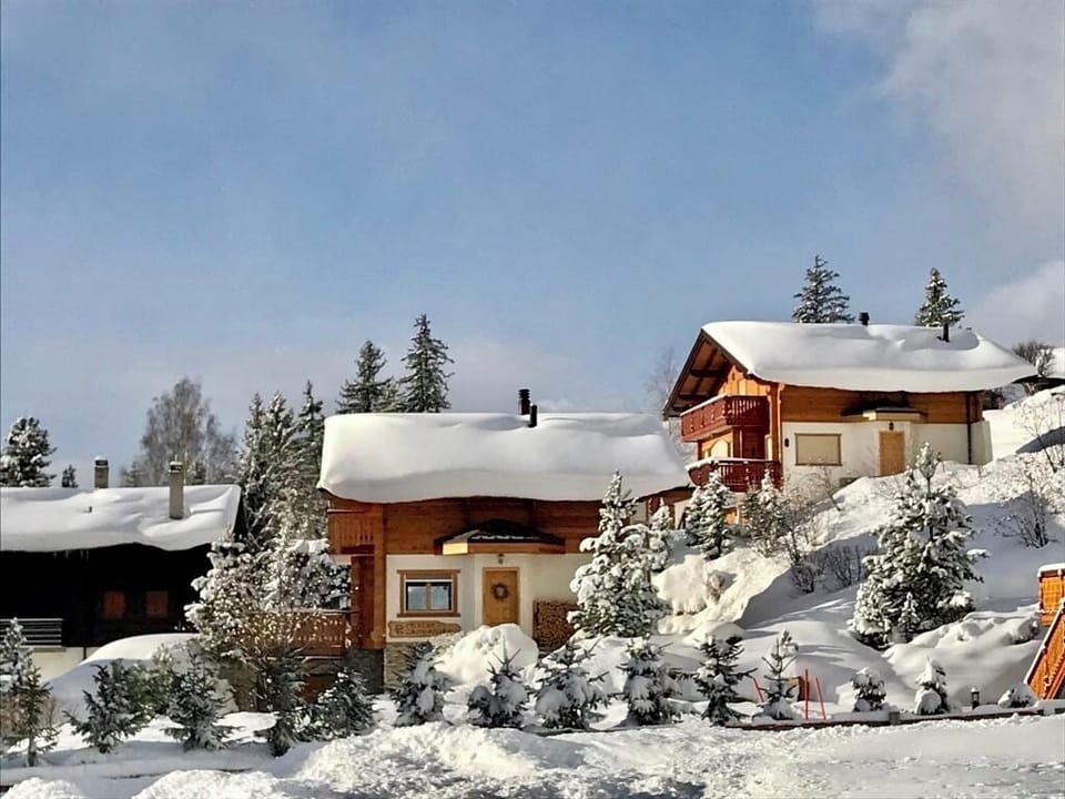 Chalet Campanule