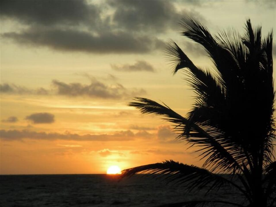 You'll see lots of this!