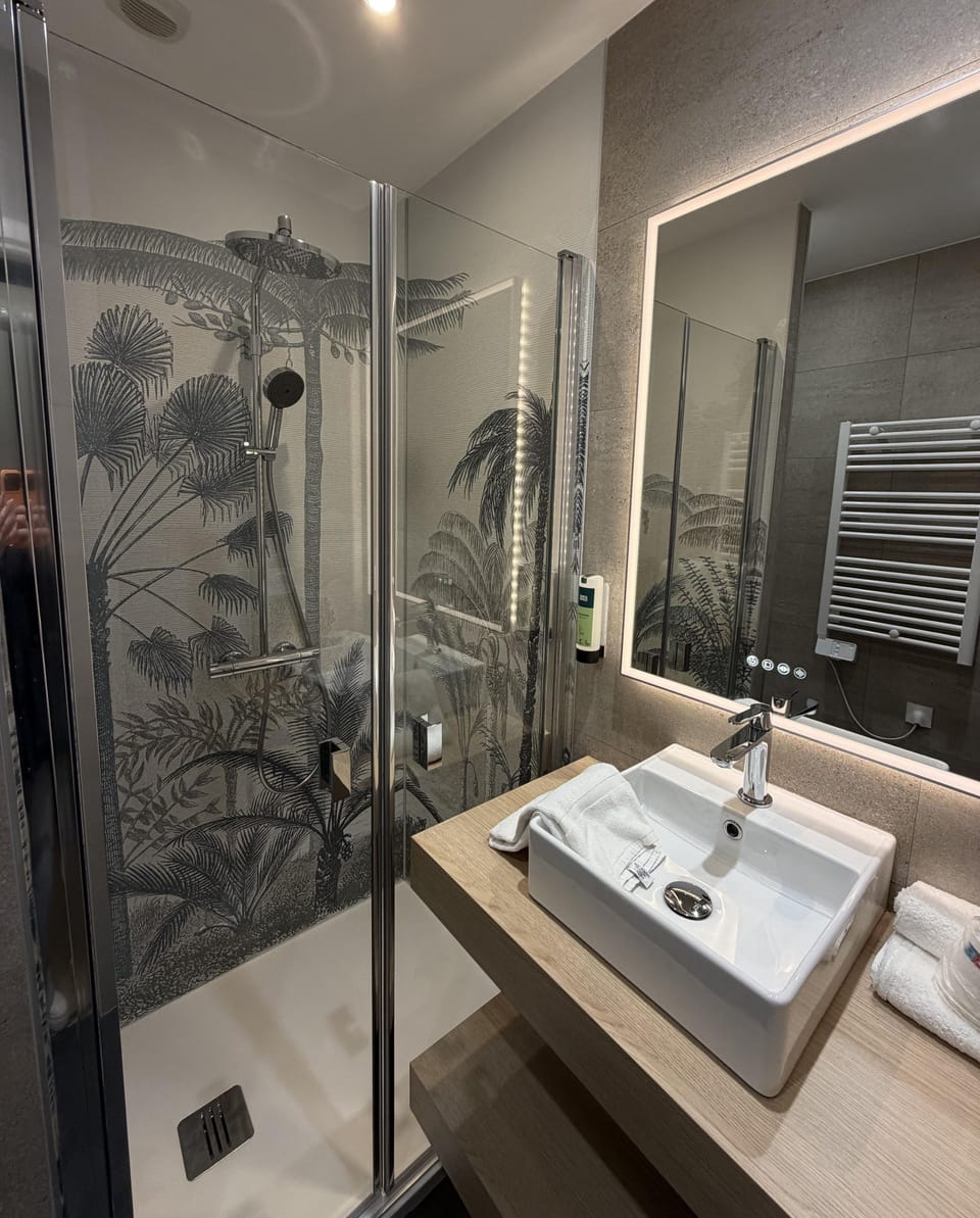 Comfort Double Room | Bathroom | Shower, free toiletries, hair dryer, towels