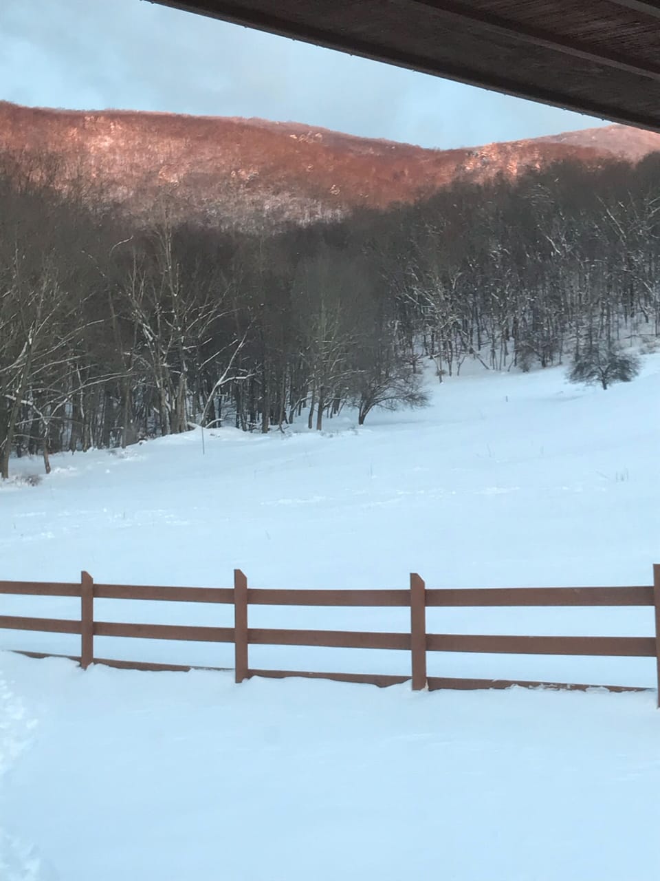 Looking off back porch
