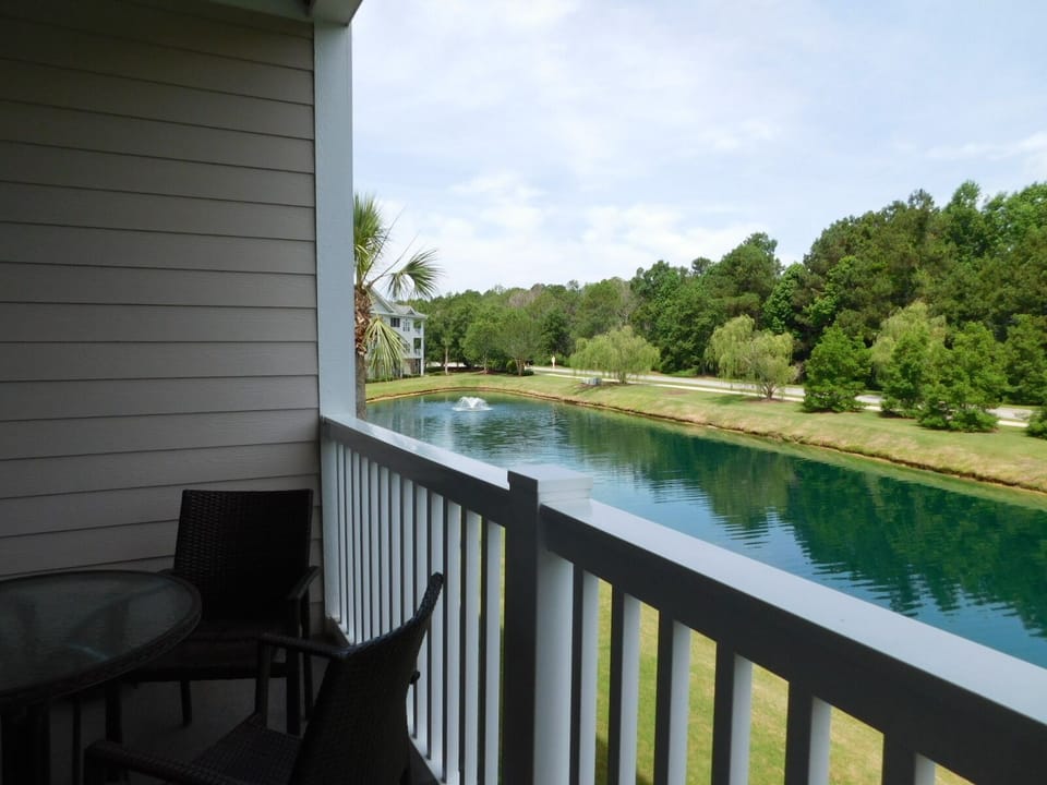 View of Pond
