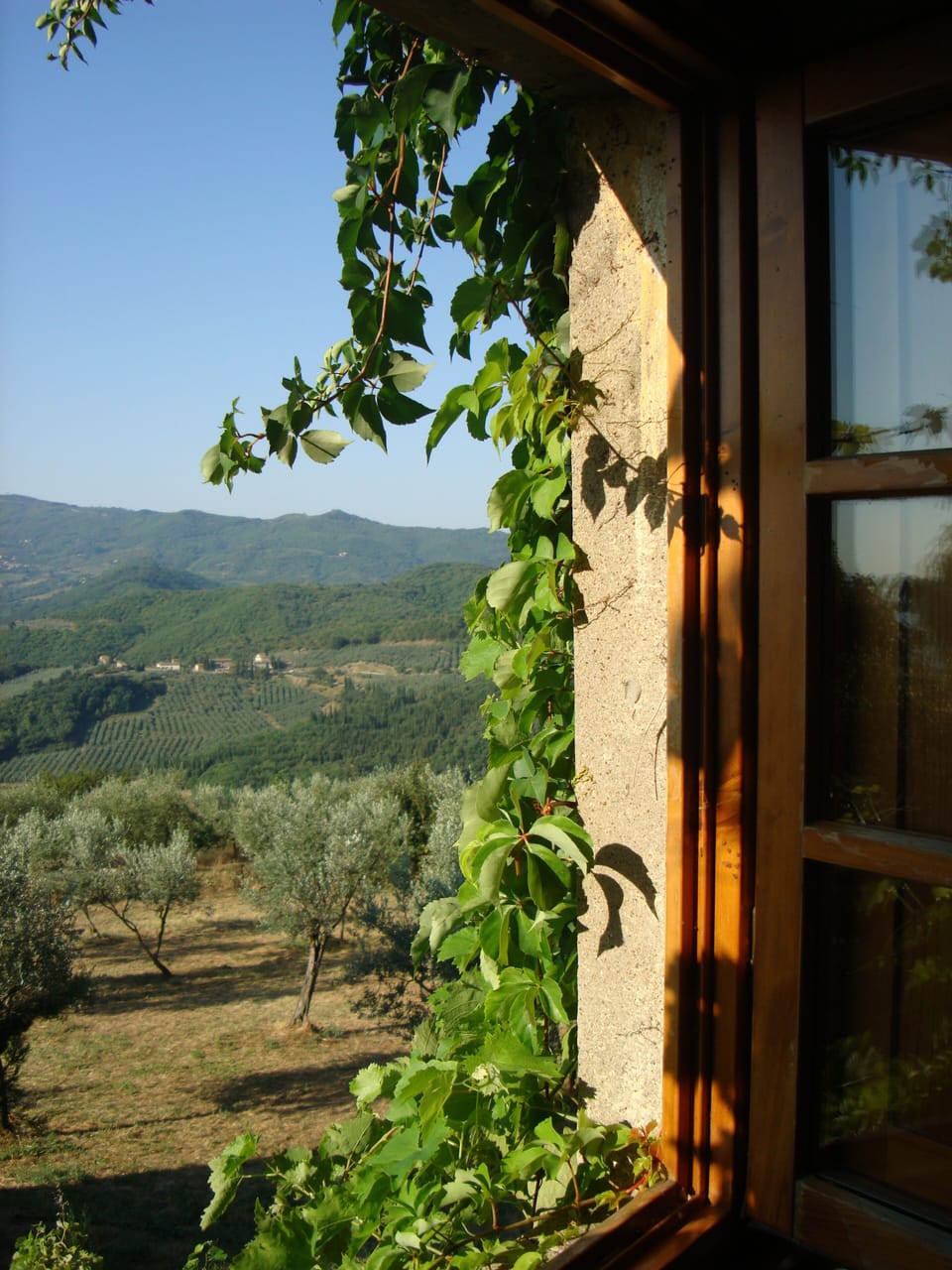 View from property
