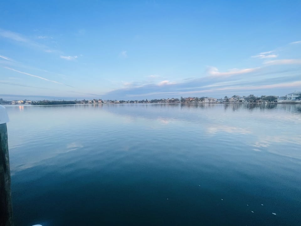 View of the cove from the end of the dock