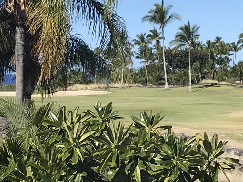 Golf course view from lani