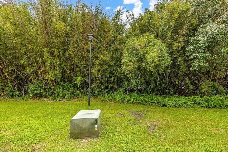 Ocean Walk N4 - Grassy common area backed by dense tree line