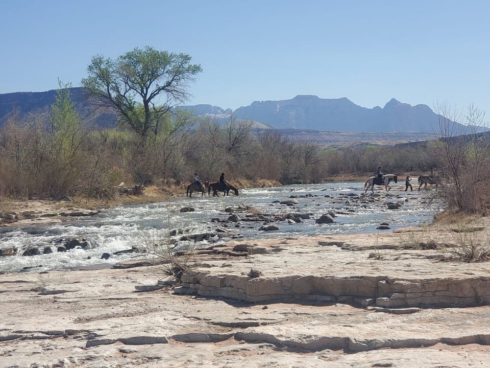 Horses crossing above The Falls see:
www.customhorserides.com  (Shelley)