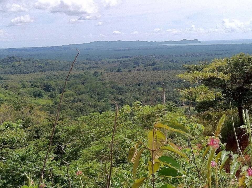 Vista panorámica