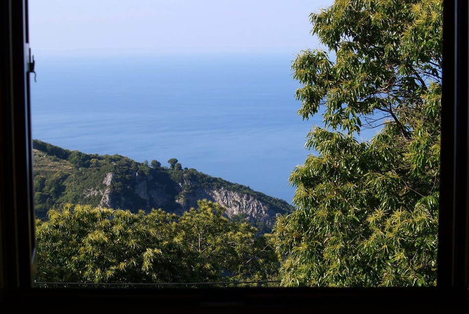 Wake up to a magical view of the Aegean sea combined with nature!