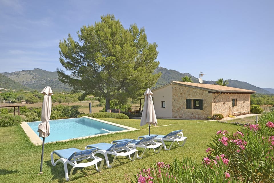 views, pool, garden, face